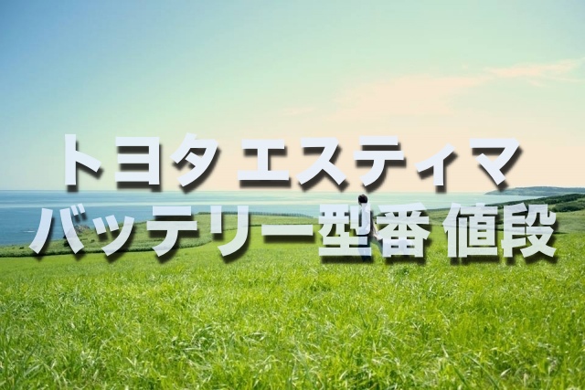 エスティマのバッテリー交換 絶対に損しない選び方から交換方法まで総特集