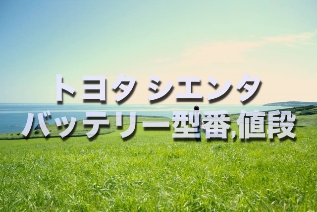 損したくない シエンタのバッテリー交換する場合 型番 サイズ 値段はコレです そうだ 僕は自分らしく生きよう