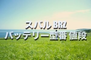 損したくない フリードスパイクのバッテリー交換する場合の型番 サイズ 値段はコレです そうだ 僕は自分らしく生きよう