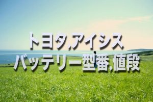 損したくない オデッセイのバッテリー交換する場合の型番 値段はコレです そうだ 僕は自分らしく生きよう