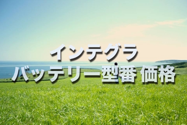 損したくない インテグラのバッテリー交換する場合 型番 サイズ 値段はコレです
